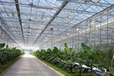農業溫室智能監控系統解決方案 農業溫室智能監控系統解決方案