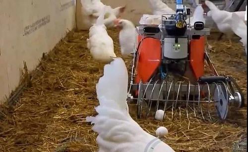 智慧養殖解決方案 智慧養殖解決方案