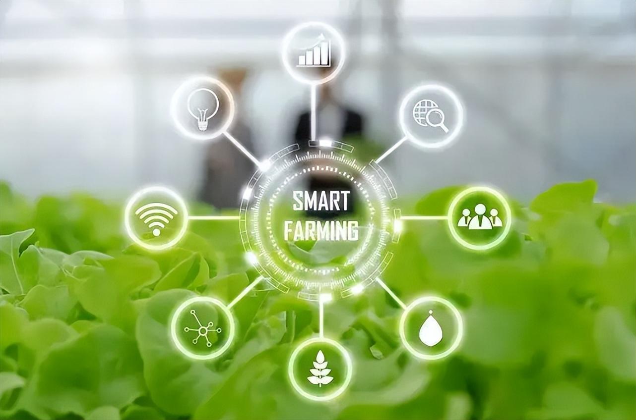 智慧農(nóng)業(yè)物聯(lián)網(wǎng)的未來(lái)在哪里？