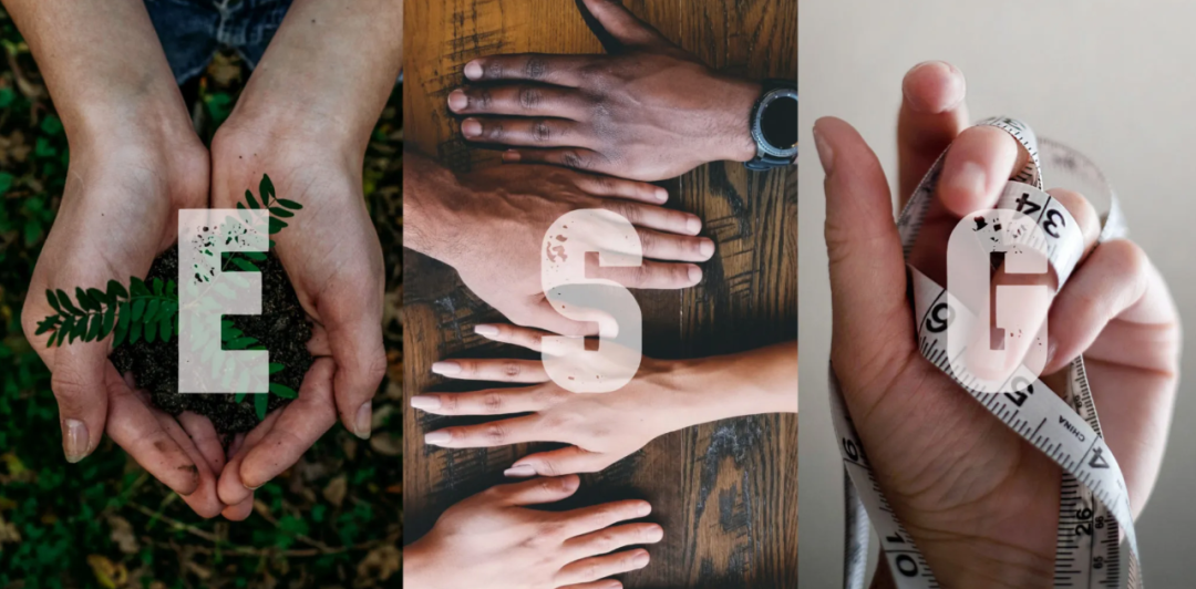 物聯網+5G+區塊鏈,讓碳中和成為一個生態游戲「物女心經」 物聯網+5G+區塊鏈,讓碳中和成為一個生態游戲「物女心經」