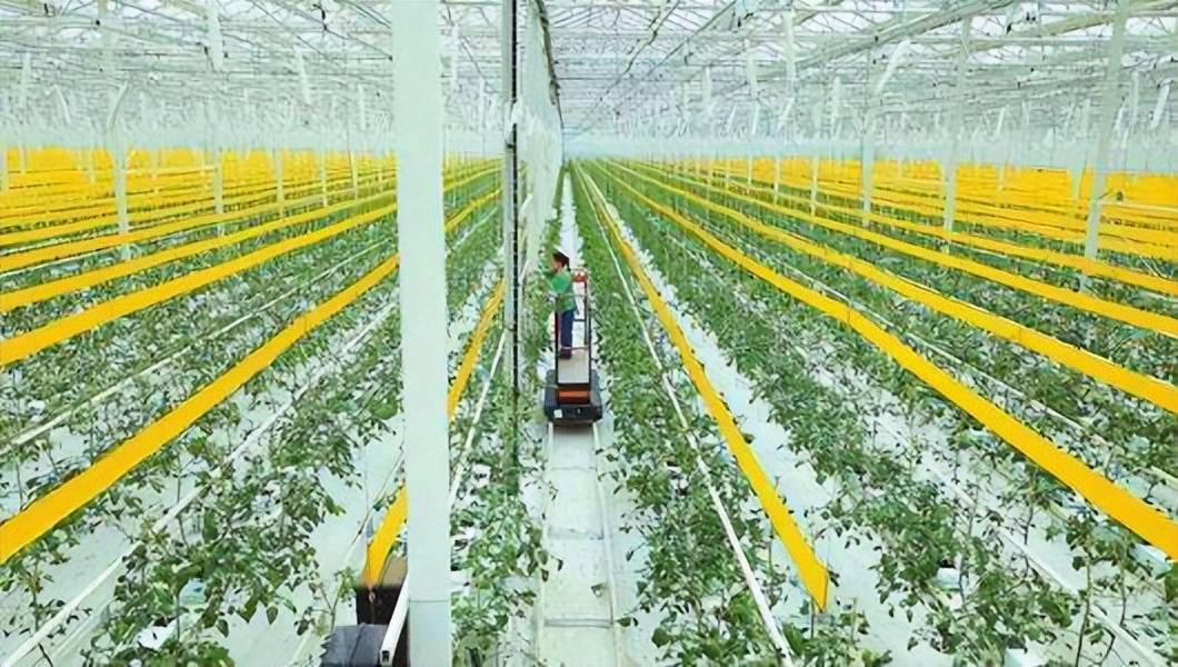 物聯網技術助力智慧農業產業化發展 物聯網技術助力智慧農業產業化發展