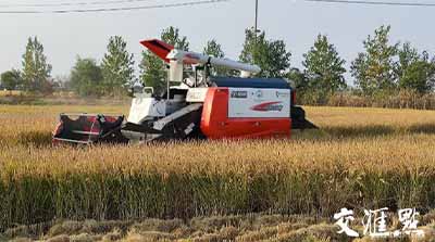 移動物聯(lián)網(wǎng)應用①|手機上種田,無人化種田!智慧農(nóng)場“智”在哪? 移動物聯(lián)網(wǎng)應用①|手機上種田,無人化種田!智慧農(nóng)場“智”在哪?