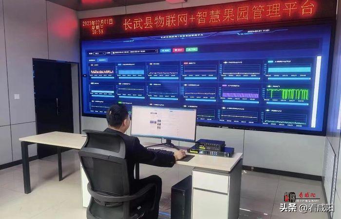 物聯(lián)網(wǎng)+智慧農(nóng)業(yè) 推進長武縣數(shù)字農(nóng)業(yè)建設(shè)高質(zhì)量發(fā)展 物聯(lián)網(wǎng)+智慧農(nóng)業(yè) 推進長武縣數(shù)字農(nóng)業(yè)建設(shè)高質(zhì)量發(fā)展