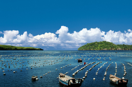 水產養殖智能一體化方案 水產養殖智能一體化方案