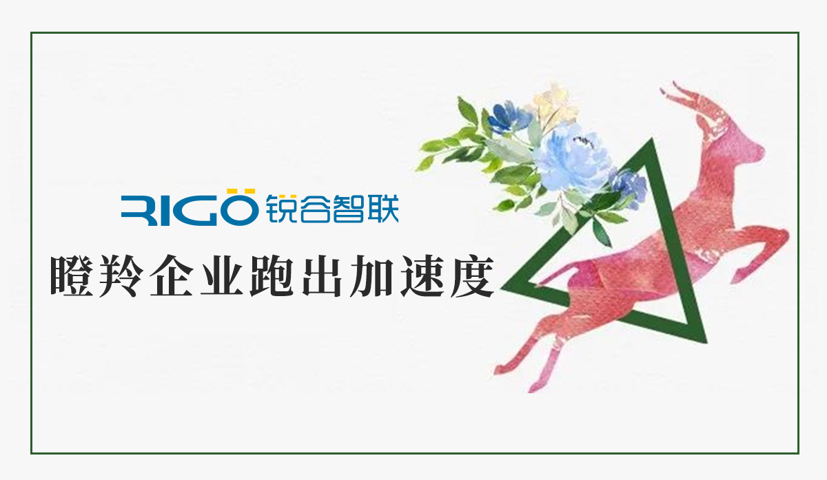 火炬高新區助力“瞪羚”企業跑出加速度,超半數分布廈門軟件園 火炬高新區助力“瞪羚”企業跑出加速度,超半數分布廈門軟件園