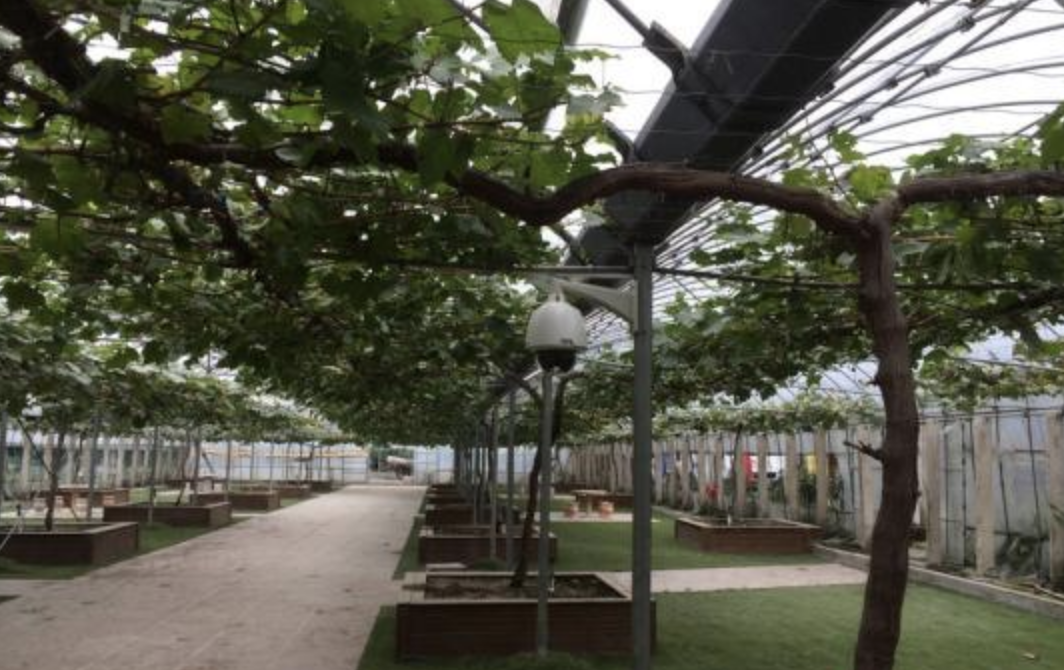 1582270444827678.png image.png